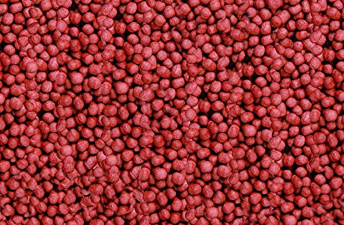 sera 07123 KOI ROYAL MEDIUM 21 l – Hauptfutter für ein ausgewogenes Wachstum von Koi zwischen 12 und 25 cm - 2