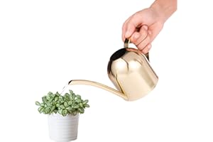 Saicowordist 17.6OZ / 500ML Gold Indoor Watering Can Small, Ornate Stainless Steel Metal Long Spout Bonsai Mini Watering Can, Watering Pot for Indoor&Outdoor Plant(Gold)