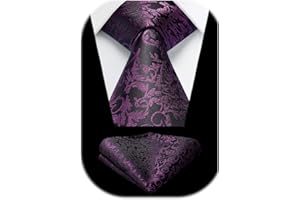 HISDERN Cravate Homme Paisley Cravates en Soie pour Hommes Mariage Cravatte et Pochette Set