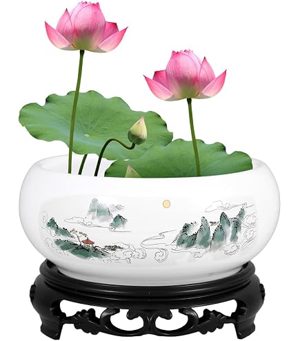 Pot De Fleur En Verre Transparent Forme Lotus - 15x15x6 Cm - Pour Plantes, Succulentes, Hydroponie Ou Petit Aquarium