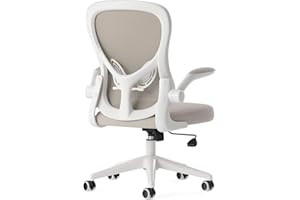 Hbada Ergonomiczne krzesło biurkowe, komputerowe krzesło biurowe z podnoszonym podłokietnikiem i podparciem lędźwiowym, regulowana wysokość, szare