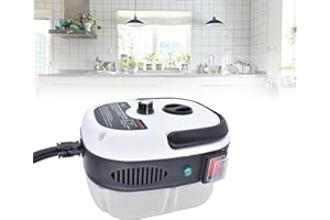 MSFE Wysokociśnieniowa myjka parowa, przenośna myjka parowa, 2500 W, wysokociśnieniowa myjka parowa z głowicami szczotkowymi, wielofunkcyjna myjka parowa 900 ml, do klimatyzacji/okapu kuchennego