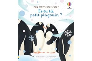 Es-tu là, petit pingouin ? - Mon petit cache-cache