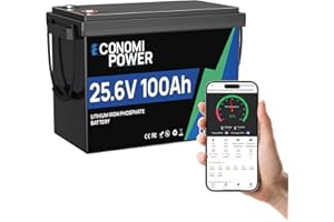 EconomiPower Bluetooth Batterie Lithium 24V 100Ah Lifepo4, 100A BMS intégré, 6000+ Cycle profond lifepo4, 2560Wh Batterie Lithium pour Camping-car, Bateau, Solaire et hors-réseau