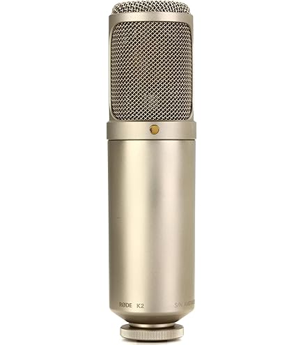 AKG C214 profesyonel büyük diyaframlı kondansatörlü mikrofon