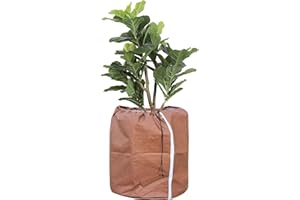 CINEMON Thermo Topfschutz für Pflanzen, Pflanzenschutz Winter in Aussenbereichen, Winterschutz für Kübelpflanzen vor Frost und Nässe für empfindliche Pflanzen wie Palmen (XXL, 70x65cm, 1 Stück)