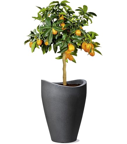 ARTEVASI Pot de fleurs CAPRI - Anthracite - Résistant au gel - 40 x 40