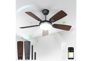 BLITZWILL Ventilatore da Soffitto con Luce, Ø106cm Ventilatori da soffitto con Illuminazione LED, Controllo App&Telecomando, 6 Velocità, 3 Colori Dimmerabile, 5 Pale, Silenzioso, Estate-Inverno,Timer