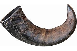 Trixie Corno da masticare per cani, in vero bufalo, grande