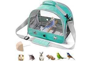AZULLANSE Bird Carrying Backpack,Travel Bag,Stainless Steel Tray Stand Perch,Portable,Washable,Outdoor,for Parrot Hiking,Camping,with 1 Stone Molars-green