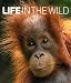 Life In The Wild (Dk) RS.999.00