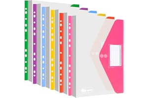 Agoer Lot de 24 pochettes perforées A4 extensibles en plastique avec 2 fermetures auto-agrippantes, 6 couleurs transparentes avec trous pour classeur et pochette pour étiquettes pour le tri des