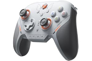 BIGBIG WON BLITZ 2 Pro TMR PC Videogame Controller,TMR Joystick elettromagnetico,2000Hz Velocità di Polling Wireless,1000Hz Giroscopio,16 Pulsanti Meccanici,PC+Mobile APP Gamepad per FPS(Grigio-TMR)