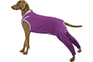 PUMYPOREITY Body Postoperatorio Perros, Coton Body Postquirurgico Doux Body Postoperatorio Perro Hembra Léger Body de Protección Body Quirurgico Traje Protector Pierna(Morado, 2XL)