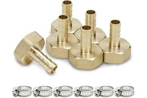 Bwintech 6 piezas de accesorios de espiga para manguera, 3/4" BSP hembra x 10 mm conector de espiga con 6 abrazaderas