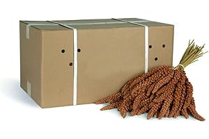 Sementi Dotto Bonus Panico in Spighe 12.5 kg (mangime per Uccelli)