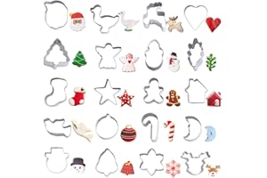 PTAIZJJZ Juego de 20 mini cortadores de galletas de Navidad de acero inoxidable con muñeco de jengibre, árbol de nieve, copo de nieve, caña de azúcar, Papá Noel, muñeco de nieve, reno y mucho más