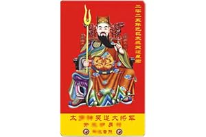 2025 Feng Shui Amulet Card | Year of the Snake Lucky Charm | Feng Shui skyddskort | Fortune-boosting kinesisk amulett | Mångsidig Feng Shui-amulett för rikedom, harmoni och framgång