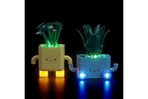 BRICKBLING Kit d’éclairage LED pour Lego 10349 Petites plantes souriantes (modèle Lego non inclus), jouet créatif, accessoire de décoration