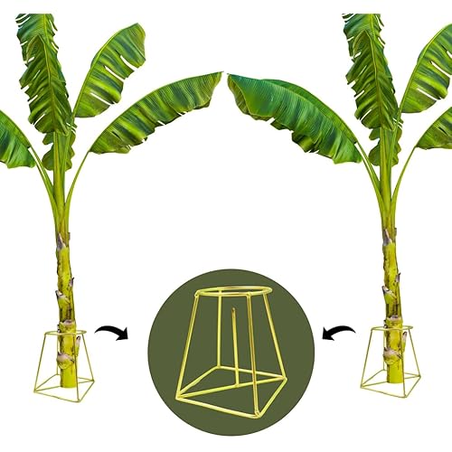 TrustBasket Banana Stand/Holder for Pooja - Gold (Set of 2), Metal