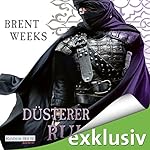 Düsterer Ruhm (Die Licht-Saga 5)