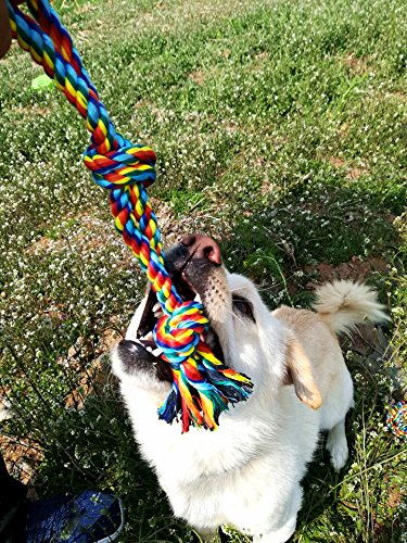 5-Pack-Pet-Dog-Cotton-Rope-Toys-Rubber-Chewing-Ball-Toys-Bite-Resistant-and-Teeth-Cleaning-Gift-Set-for-Small-Medium-Dogs