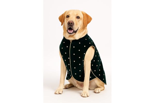 Royal Green Velvet Dog Sherwani for Wedding Traditional Ethnic Dog Outfit with Gold Embroidery Indian Festive Pet Clothing for Dogs Small, Medium & Large Breeds (M)