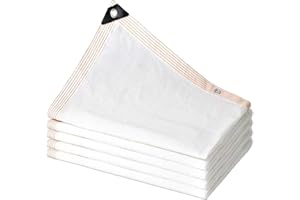 SSFMSF Taux D'Ombrage De 85% - 95% Filet Anti Chaleur, Filet Anti Feuille Piscine Filets D'Ombrage avec Oeillets, pour Jardin De Balcon De Garage De Ferme. (Blanc 12-Pin / 2m * 2m / 6.6ft * 6.6ft)