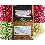 BOSI LeafRed Amaranthus & Alfalfa Microgreen and Sprout Seeds- 150G | Untreated | Natural | Best Germination for Sure