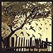 Produktbild Ear to the Ground by Coyote Grace