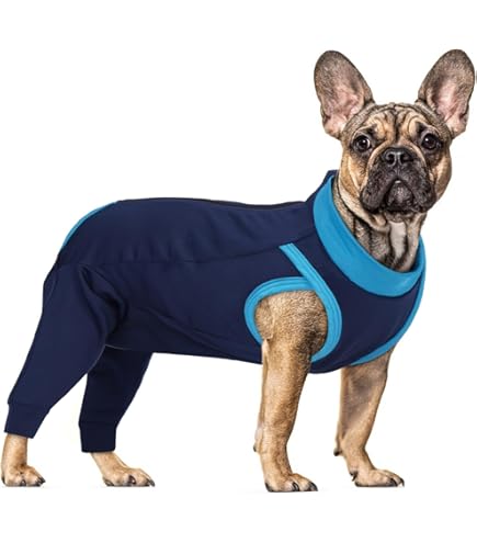 Tuta Recupero Zampe Posteriori Cani MHaustlie - Alternativa Al Collare Elisabetta