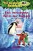 Produktbild Das magische Baumhaus – Das verborgene Reich der Pinguine: Band 38