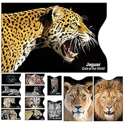 [Set A 12] Protecteur de Carte Porte-Monnaie Anti-RFID Kit Carte Carte de crédit Protection de la sécurité Paiement Contact Carte d'identité Carte Bleue Permis de Conduire- Attractive Cat Pattern