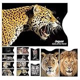 [Set A 12] Protecteur de Carte Porte-Monnaie Anti-RFID Kit Carte Carte de crédit Protection de la sécurité Paiement Contact Carte d'identité Carte Bleue Permis de Conduire- Attractive Cat Pattern