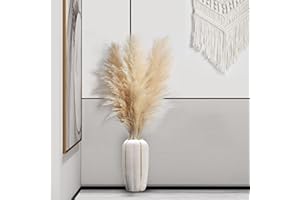 SIXSTARHAIR Hierba grande de las Pampas secas, 3 unidades XXL bohemias decorativas de flores secas, juego de flores naturales, hierba de pampas, hierba de junco, flores, ramo de flores para jarrón, boda, salón,