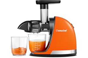 AMZCHEF Estrattore Frutta e Verdura - Estrattore Di Succo A Freddo - Masticazione Delicata Non C'è Bisogno Di Filtrare - Estrattore Di Succo Senza BPA con Due Tazze e Pennello -Arancione