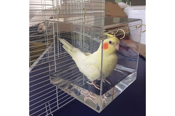 Baignoire spacieuse pour oiseaux, cage de douche, calopsitte et perroquet transparent avec crochets de suspension - Fournitures pour animaux domestiques - En acrylique - Pour nettoyer la maison -