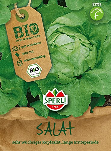 Salatsamen - Bio-Salat (Kopfsalat) Matilda - Bio-Saatgut von Sperli-Samen