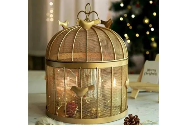 ABEER IMPEX Fruit Bulbul Round Basket With Mesh And Lid Countertop Ideal For Storing Fruits Vegetables Best For Dining Table Daily Use, Gold
