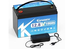 TCBWORTH 12V 100AH ​​LiFePO4 Batterie Grade A Zellen mit BMS Deep Cycle 10000+ Mal, geeignet für Solar, Wohnmobil, Anhänger, Trolling-Motor, Boot, Standserie und Parallel…