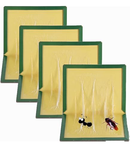 Maxenza Muizen Lijmplanken – 20 stuks – Lijmplaat Muizenval – Muizenvallen voor binnen – 100% pakkans – Drogisterij Plus – Verzorging & Gemak