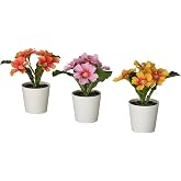 Ikea FEJKA Saksılı Yapay Bitki, &Ccedil;uha &Ccedil;i&ccedil;eği, Karışık Renkler, 6 cm, İ&ccedil;-Dış Mekan