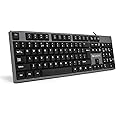 Amkette Lexus Neo Keyboard for Laptops, PCs, and USB-Compatible Devices | UV-Coated, Long-Lasting, Anti-Fade Keys | Spill-Resistant Design | Multimedia Keys | Comfortable Typing (Grey)