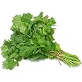 Fresh Coriander Leaves I Bunch I 150G Approx I Pack of 1