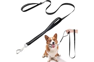 Kzouenzu Guinzaglio Per Cani [Cordon de serrage double], 2m X 2.5cm, Guinzaglio Per Cani Addestramento, Resistente Leggero Con Fibbia Lega Zinco, Per Seguono Obbedienza [Nero]