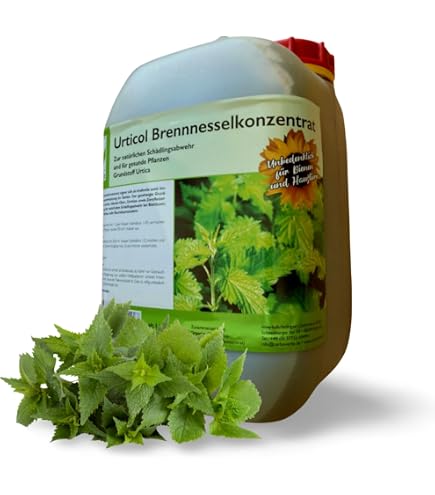 Brennesseljauche/Brennesselsud (3Liter) : Amazon.de: Garten