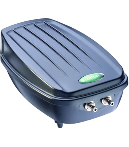 Pompa Ad Aria AQUAFORTE AP-100 - 65W, 70 L/min A 2m, Con Membrane Di Ricambio, Per Stagni - Foto 3