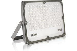 JBdusn Faretto LED per esterni, 100 W, 10000 lm, super luminoso, per esterni, 6500 K, luce bianca fredda, IP65, impermeabile, per giardino, cortile, campo sportivo