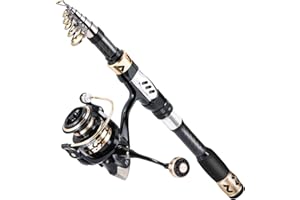 Sougayilang Kit de Canne à pêche télescopique et Moulinet avec Moulinet, équipement de pêche pour Adultes débutants en Eau salée et Eau Douce de 1,8 m avec Moulinet 2000