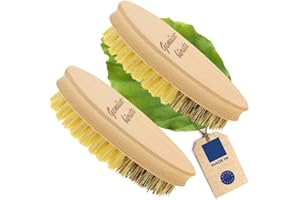 HOFMEISTER HOLZWAREN HOFMEISTER® 2 spazzole per verdure, 13,5 cm, setole naturali di alta qualità in 2 gradi di durezza: vera Unione e fibre, per patate, carote e verdure, spazzola per radici in legno di faggio, Made in